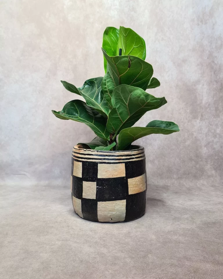 Cache-pot en terre cuite fait main - TERRE DE DAMES | Motifs berbères