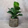 cache pot Azetta en céramique artisanale - poterie de Sejnane