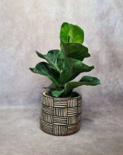 cache pot Azetta en céramique artisanale - poterie de Sejnane