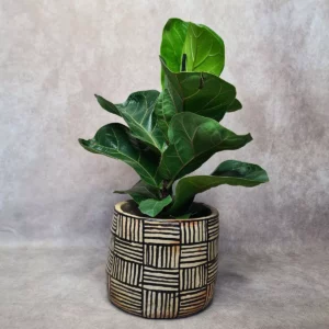 Détail 1, Cache-pot poterie de Sejnane – AZETTA | Motifs berbères artisanaux Anaspika