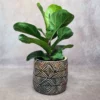 cache pot en terre cuite de Sejnane