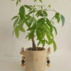 cache pot en céramique artisanale - fait main - poterie de Sejnane