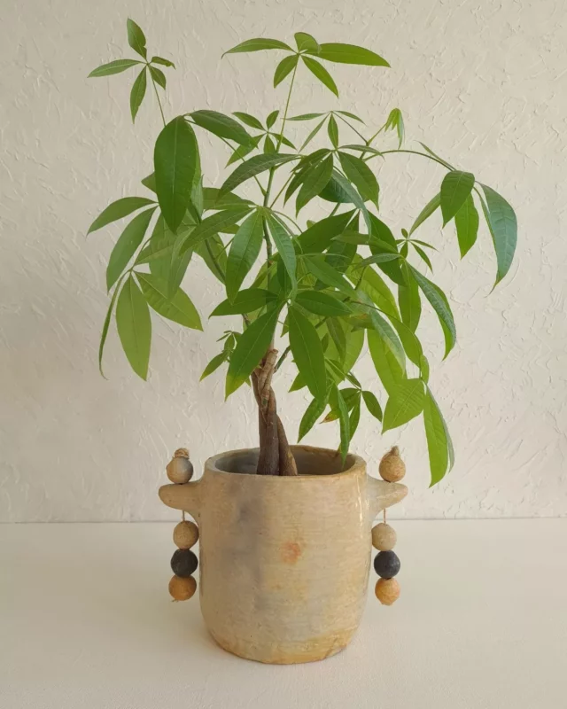 Cache-pot céramique artisanal - TAZIRI | Poterie de Sejnane fait main