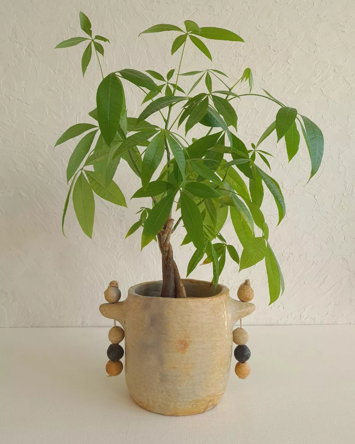 TAZIRI- Cache-pot artisanal en céramique | Poterie de Sejnane, fait main 1 cache pot en céramique artisanale - fait main - poterie de Sejnane
