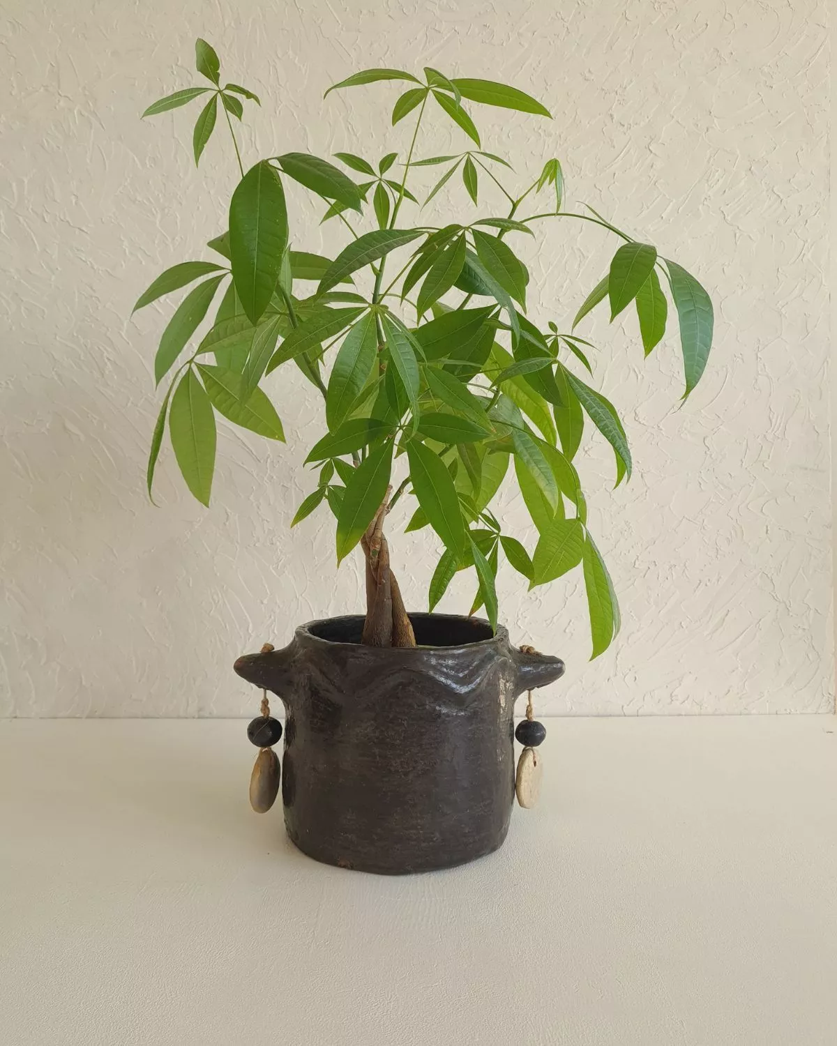 TAZIRI- Cache-pot artisanal en céramique | Poterie de Sejnane, fait main 6 cache pot en céramique artisanale - fait main - poterie de Sejnane