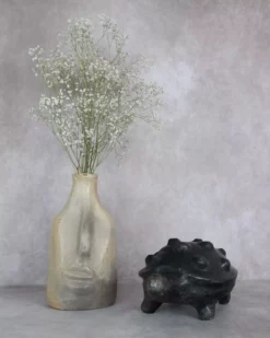 TORTUSAGE - Tortue en terre cuite artisanale | Poterie de Sejnane 9 Tortue noire en terre cuite et vase en céramique artisanale