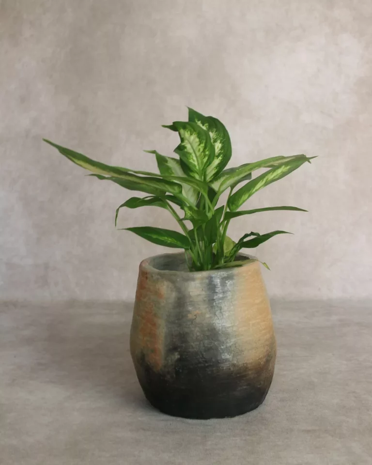Cache-pot terre cuite artisanal - LONA | Tie and dye noir & beige