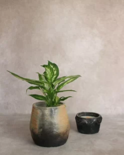 cache-pot en céramique artisanale - décoration intérieure maison
